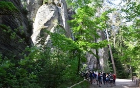 DSC_2350(1)