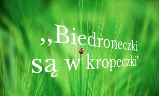 Na trawiastym tle biały napis "Biedroneczki są w kropeczki", mała biedronka po środku 