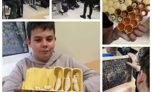 Zdjęcia uczniów siedzących w ławkach. Uczeń trzyma model pszczelarski.