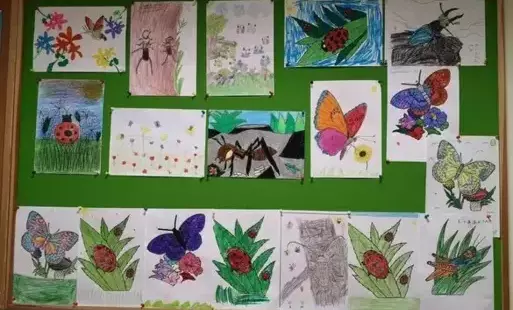 Zielona tablica z pracami plastycznymi prezentującymi owady. 
