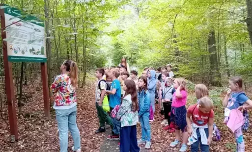 uczniowie w lesie czytają tablicę informacyjną 
