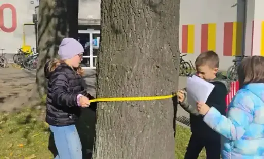 uczniowie mierzą obwód drzewa